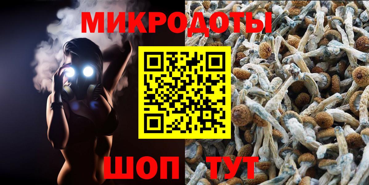 Псилоцибиновые грибы Cubensis  Галлюциногенные грибы ЛСД  Оренбург  наркотики  Вход с VPN 