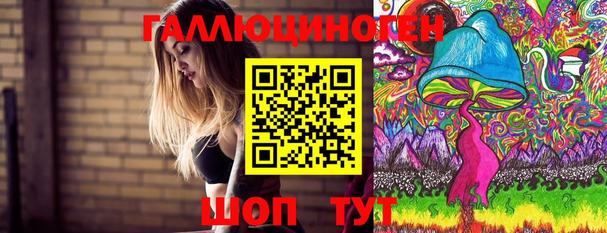 Псилоцибиновые грибы Cubensis Оренбург